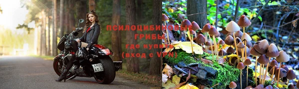 метадон Арсеньев